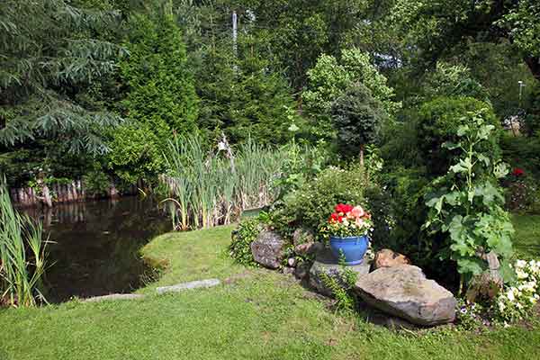 mantenimiento de jardines en Getafe