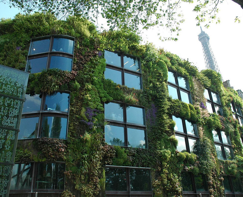 instalar un jardín vertical