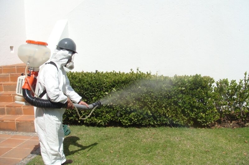 fumigaciones de jardines