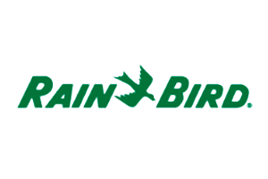 rain-bird