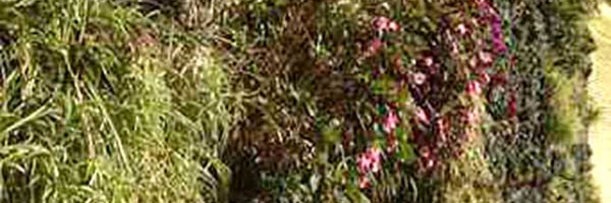 Obras de jardinería madrid